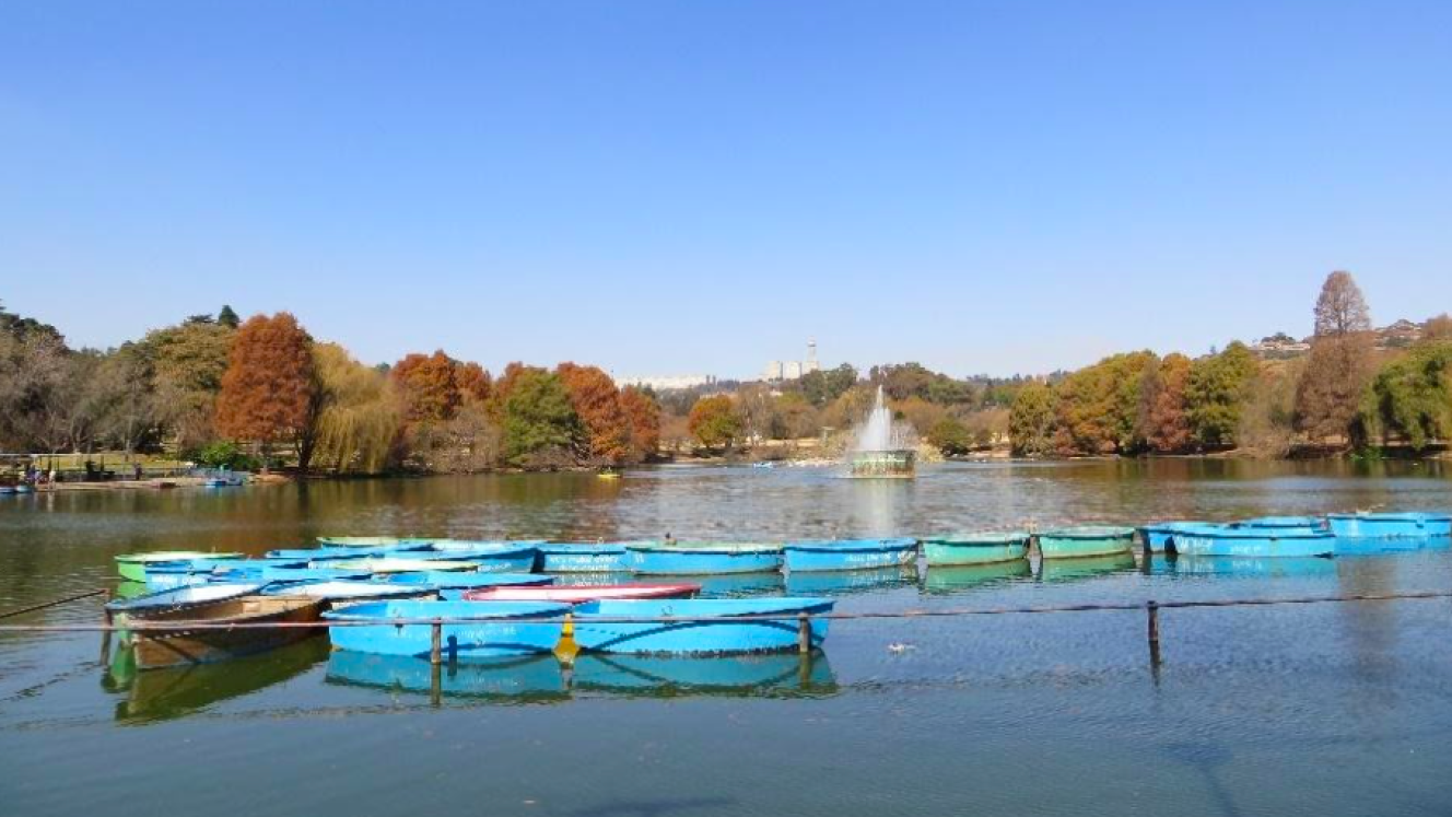 Homage to Zoo Lake, Johannesburg | The Heritage Portal